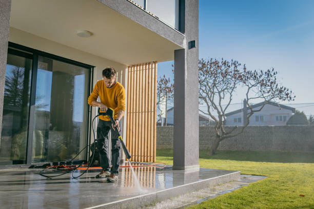 Best Fence Cleaning  in Leona Valley, CA